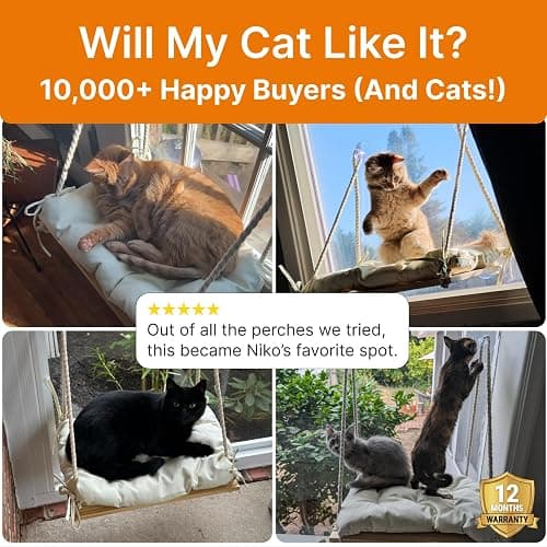 Cat Window Perch with Industrial-Grade Suction Cups - Solid Pine Wood Hammock Bed, Soft Cushion - 42 lb Capacity for Cats Inside thumbnail 9