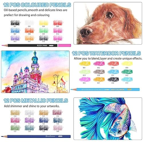 Efimeso 83 Colouring Pencil Set, Drawing & Sketching Pencils with Charcoal & Graphite, Art Supplies for Adults thumbnail 5