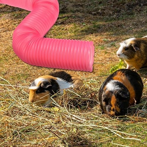 3 Packs Pet Fun Tunnels, Small Animal Tunnel, Foldable Plastic Hamster Tunnel, Tube Pets Hideaway, Pet Mouse Training Hideout Tunnels for Guinea Pigs, Chinchillas, Rats, Ferrets, Dwarf Rabbits thumbnail 5
