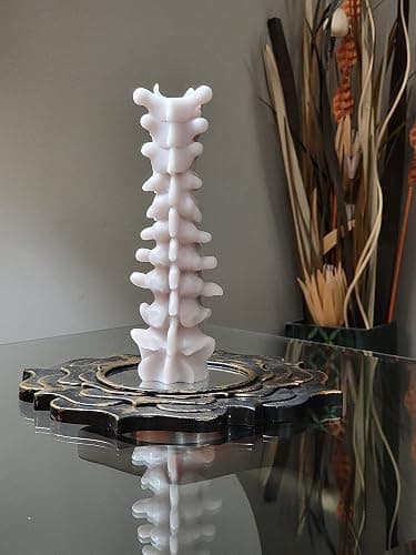 Zellinni Spine Candle for Halloween Decor - Premium Unscented Soy Candle w/Cotton Wick for Clean Burn - Goth Room Decor Vertebra Candles for Parties, Home, Rituals, Halloween Decorations Indoor - Gray - Grey white bone thumbnail 5