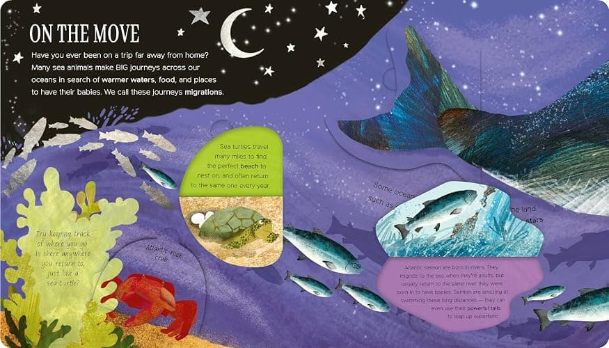 One Little Fish: Exploring Nature for Curious Kids thumbnail 5