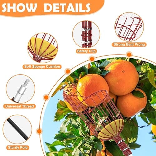 SISIUPASSIE 26FT Reach Fruit Picker, Apple Picker Pole with Basket Telescoping Tool for Apple Lemon Orange Mango Avocado Fruit Tree Picking thumbnail 3