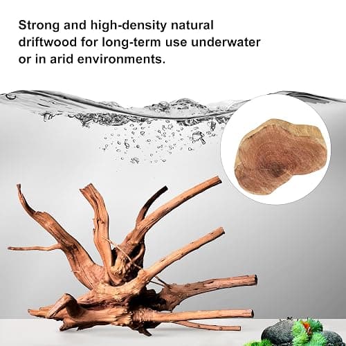 majoywoo Natural Driftwood for Aquarium Decor Fish Tank Decorations, Assorted Spider Wood Branch 4-8" 5 Pcs, Reptile Decor thumbnail 3