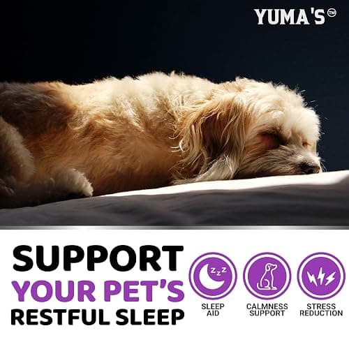 Melatonin for Dogs - 170 Melatonin Chews for Small and Large Dogs - Puppy Sleep Aid - Natural Calming Treats for Stress Anxiety Relief - Canine Sleeping Pills - Thunder, Fireworks, Chewing, Barking thumbnail 4
