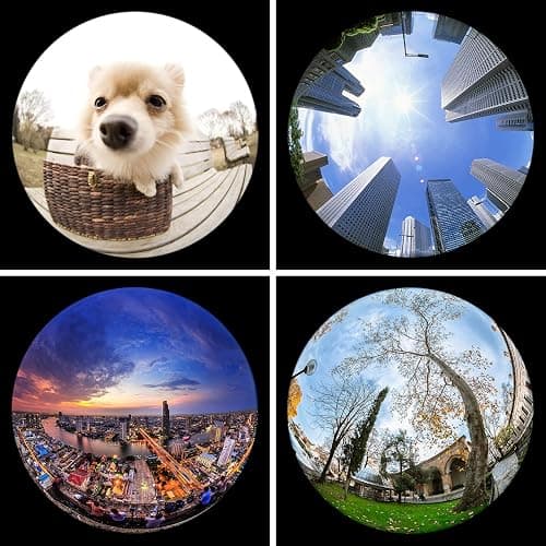 KEYWING Fisheye Lens, 198° Fish Eye Phone Camera Lens Kit for iPhone | Fish Bowl Camera Lens, Phone Lens Accessories, Lens Attachments for iPhone 6 7 8 X Samsung Smartphone thumbnail 4