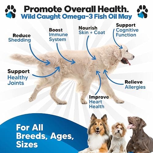Omega 3 Fish Oil for Dogs - Better Than Salmon Oil - Dog Fish Oil Supplement to Reduce Shedding & Itching - Supports Joints, Brain, and Heart Health - Skin and Coat Supplement - Liquid Fish Oil thumbnail 2