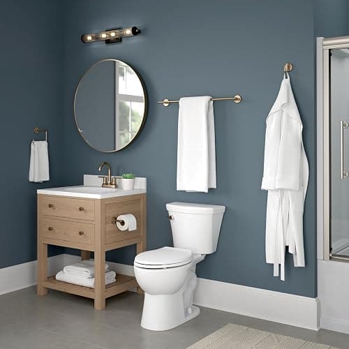 Delta Trinsic Toilet Paper Holder  thumbnail 2