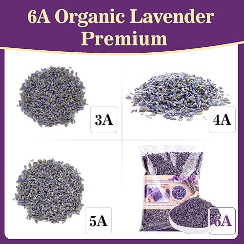 Sukh 3OZ Dried Lavender Flowers - Lavender Buds for Drawers/Closets Sachets Bags, Fresh Scents, Organic, Bulk, for Patry, Birthday, Bridal Shower, Soap or Candle Making thumbnail 2