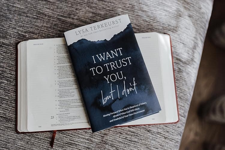 I Want to Trust You, but I Don't: Moving Forward When You’re Skeptical of Others, Afraid of What God Will Allow, and Doubtful of Your Own Discernment thumbnail 6