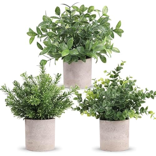 Der Rose 3 Pack Mini Potted Fake Plants Artificial Plastic Eucalyptus Plants Centerpieces for Table Home Office Desk Accessories Farmhouse Room Classroom Decor - Image 1