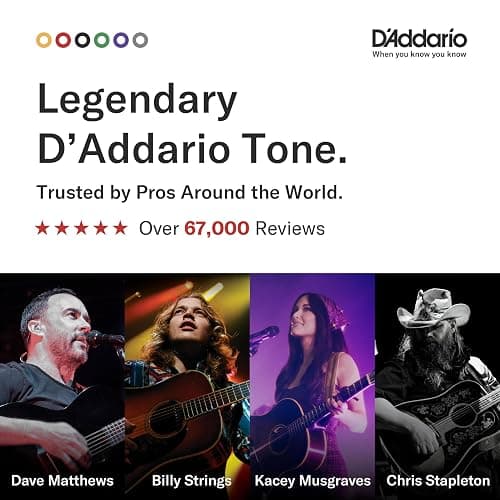 D'Addario Acoustic Guitar Strings, Phosphor Bronze, EJ38, Light Gauge 10-47, 12-String Set, Pack of 1 thumbnail 2