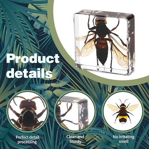 Hudirgo 7 Pcs Real Taxidermy Bugs - Insects in Resin for School Lab Entomology Dissection, Bugs in Resin Gifts for Specimen Collector, Family Or Friends (1.5 X 1.5 X 0.6 Inch) thumbnail 5