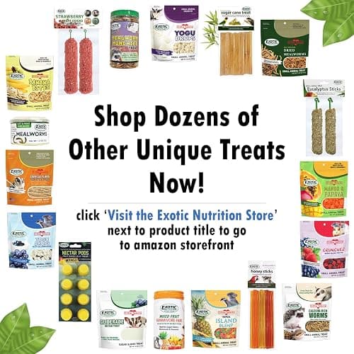 Exotic Nutrition Dozen Delights - Oat Donut Treats for Rabbits, Guinea Pigs, Hamsters, Chinchillas & Other Small Animals thumbnail 8