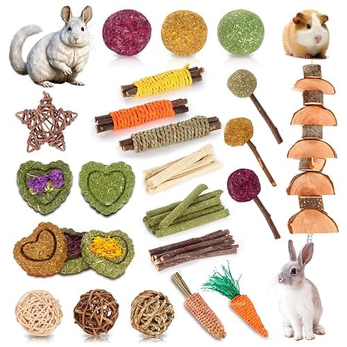 Petawi 45PCS Rabbit Guinea Pig Hamster Toys, Chinchilla Bunny Chew Toys for Teeth Apple Wood Timothy Hay Bamboo Sticks, Carrot Treats Balls for Rabbit Bunny Chinchilla Guinea Pig Hamster Rat - Image 1