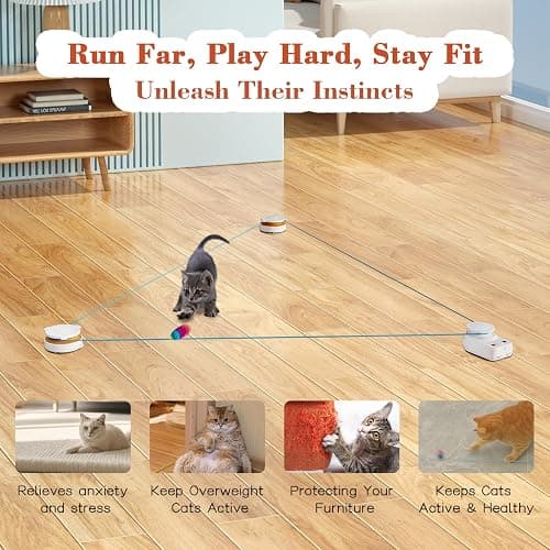 Interactive Cat Toy for Indoor Cats – Automatic Moving & Enrichment Toy for Indoor Cats/Kitten, Auto/Manual Control Cat Treadmill for Exercise & Mental Stimulation, Stimulating Chase Toys (H1K2) thumbnail 2
