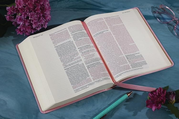 NIV, Journal the Word Bible (Perfect for Note-Taking), Double-Column, Leathersoft, Pink, Red Letter, Comfort Print: Reflect, Take Notes, or Create Art Next to Your Favorite Verses thumbnail 6
