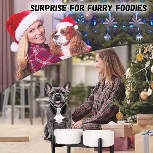 Raised Ceramic Dog Bowl Set - Elevated Double Dishes with Stainless Steel Stand - Food and Water Bowls for Small to Medium Dogs - Each Holds 2 Cups (28.75 fl oz) - Grey thumbnail 9