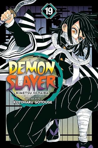 Demon Slayer: Vol 13-23 Books Collection Set thumbnail 4