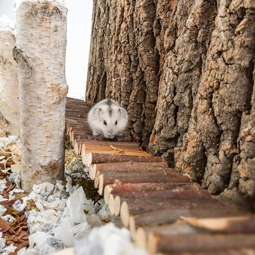 Niteangel Hamster Suspension Bridge Toy - Long Climbing Ladder for Dwarf Syrian Hamster Mice Mouse Gerbils and Other Small Animals (25.6L x 2.8W) thumbnail 3