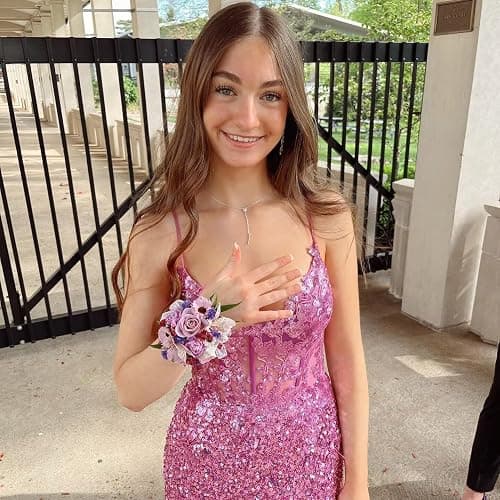 HANVAIOS Sparkly Prom Dresses Long Sequin Mermaid Spaghtti Straps Lace Applique Corset Ball Gown thumbnail 5
