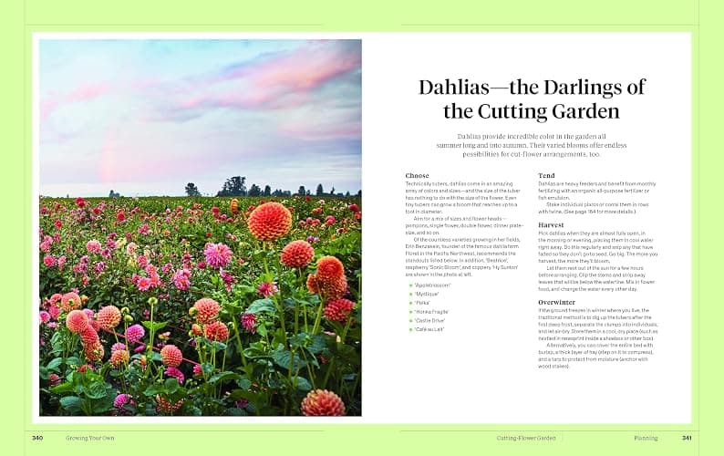Martha Stewart's Gardening Handbook: The Essential Guide to Designing, Planting, and Growing―Martha Stewart's Handbook For Growing Beautiful Plants and Vegetables thumbnail 8