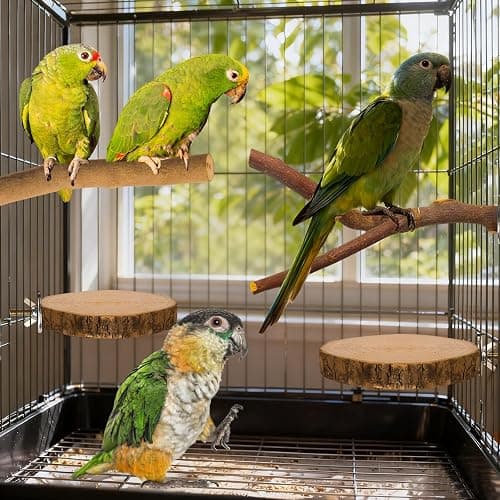StyEdEk 8 Pack Natural Wood Bird Perches Parrot Perch Stand Parakeet Toys Bird Cage Accessories for Budgerigar Cockatiels, Conures thumbnail 6