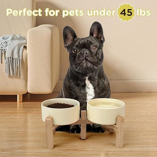 SPUNKYJUNKY Elevated Dog Bowls Ceramic, 6.1'' Dogs and Cat Food Water Bowls Raised with Non-Slip Bamboo Stand for Medium Sized Breed Microwave Dishwasher Safe - 28.7 OZ,Beige thumbnail 7