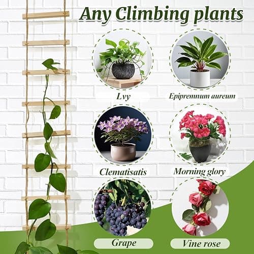 Goooxim Plant Ladder Indoor Plants Hanging Wooden Trellis Vine Support | Chain Trellis for Potted Plants Easy Installation Wall Holders for Climbing Vines Design for Pothos & Ivy Decor Garden Porch thumbnail 7