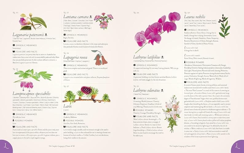 The Complete Language of Flowers: A Definitive and Illustrated History (Volume 3) (Complete Illustrated Encyclopedia, 3) thumbnail 13