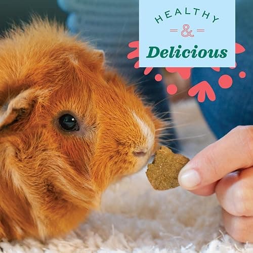 Oxbow Animal Health Simple Rewards Veggie Treats, Carrots & Bell Pepper Guinea Pig & Bunny Treats, Pet Snack for Rabbit & Guinea Pig, Made with Oxbow Hay, Alfalfa for Rabbit, 3 oz Bag thumbnail 6