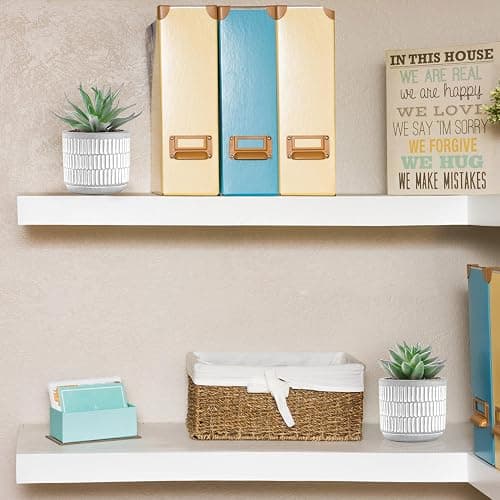 Der Rose Set of 2 Succulents Plants Artificial Fake Cactus Plants for Living Room Bathroom Bedroom Aesthetic Home Shelf Decor thumbnail 4