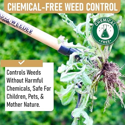 Grampa's Weeder - The Original Stand Up Weed Puller Tool with Long Handle - Made with Real Bamboo & 4-Claw Steel Head Design - Easily Remove Weeds Without Bending, Pulling, or Kneeling. thumbnail 4