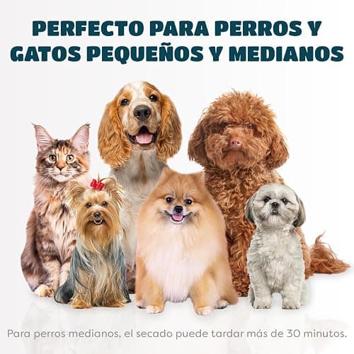Secador de Pelo para Mascotas | Secador de Pelo Portátil y Silencioso 2 en 1 con un Cepillo Práctico | Temperatura Ajustable | para Perros y Gatos Pequeños y Medianos thumbnail 8