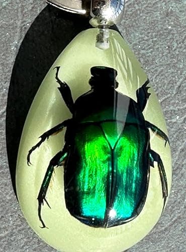 HQRP-Crystal 45mm Real Emerald Green Chafer Beetle in Glow in The Dark Lucite Keychain Insect Animal Taxidermy Sample Inside for Biology Science Education Decoration Tear Drop Key Ring Chain Pendant thumbnail 4