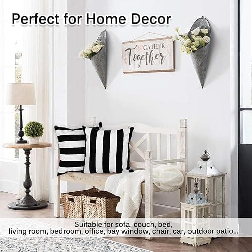 FCOZM Set of 2 Pillow Cases, Soft Velvet Black and White Stripe Pattern Pillowcase Decorative Pillow Covers for Couch, Square Throw Pillow Covers for Home Decor Gift 18 Inch X 18 Inch (Black White) - Black White thumbnail 7