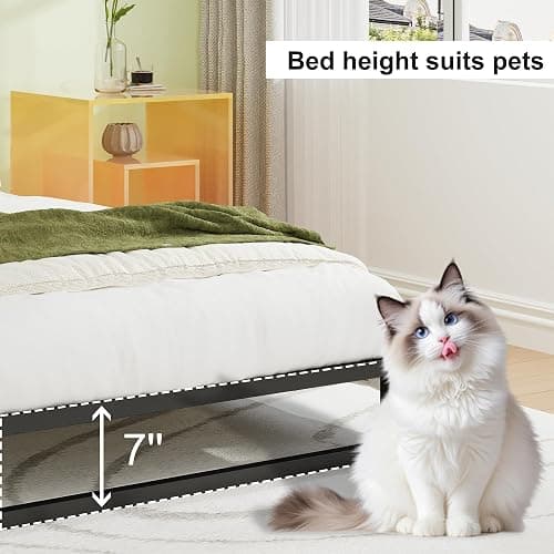 EMODA 7 Inch Twin Bed Frames No Box Spring Needed, Heavy Duty Metal Twin Platform Bed Frame, Noise Free, Easy Assembly, Black thumbnail 5