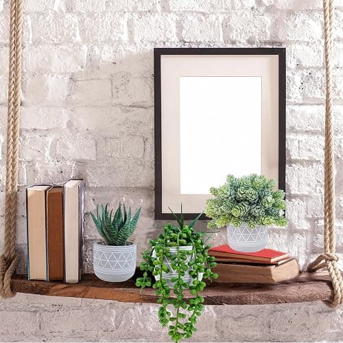 Winlyn Set of 3 Mini Faux Succulent Potted Plants Artificial Aloe Hops String of Pearls Fake Succulents in Gray Geometric Concrete Pots for Home Office Table Shelf Kitchen Living Room Boho Décor thumbnail 6