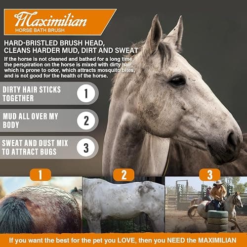 MAXIMILIAN World Class Handmade Equine Stiff Body Horse Brush. Professional Equine Grooming Tools. Effortlessly Removes Mud, Sweat and Dirt from Your Horses Hair. thumbnail 6