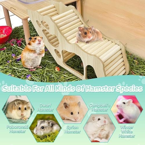 PINVNBY Hamster Climbing Ladder and Tunnel Hideout Wooden Hamster Climbing Toy Cage Decor Accessories for Gerbil Mice or Other Small Animals (Maze Tunnel) thumbnail 7
