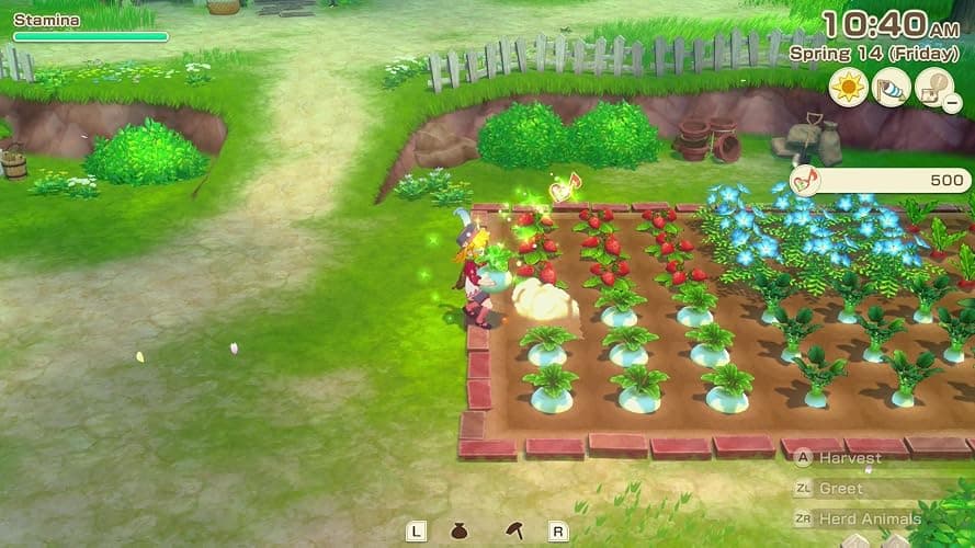 Story of Seasons Grand Bazaar Standard Edition Nintendo Switch 2 thumbnail 6