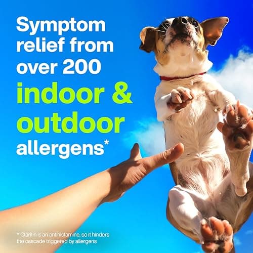 Claritin Allergy Medicine for Adults, 24-Hour Non-Drowsy Loratadine 10mg Pills, Antihistamine, 30 Tablets + 1ct On-The-Go Relief thumbnail 7