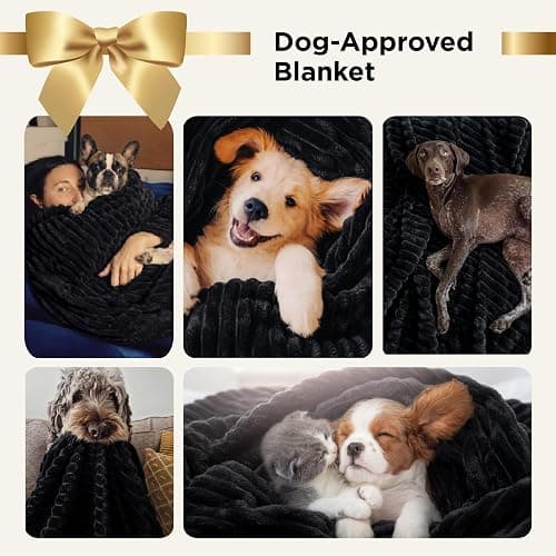 Bedsure GentleSoft King Size Blanket for Bed - Cozy Soft Blankets for Women, Cute Large Fleece Throws for Girls, Black, 108x90 Inches thumbnail 4