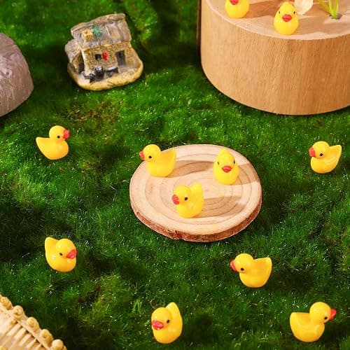 HEQU 100 Pcs Mini Resin Ducks, Tiny Miniature Ducks for Family Crafts Aquarium Garden Landscape Dollhouse Ornament Potted Decorations DIY thumbnail 6
