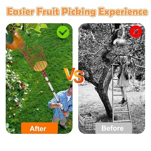 SISIUPASSIE 26FT Reach Fruit Picker, Apple Picker Pole with Basket Telescoping Tool for Apple Lemon Orange Mango Avocado Fruit Tree Picking thumbnail 5