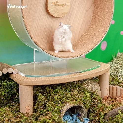 Niteangel Anti-Slide Hamster Wheel Platform for Super-Silent, Acrylic, Wooden, and Cloud Series Wheels (Small) thumbnail 4