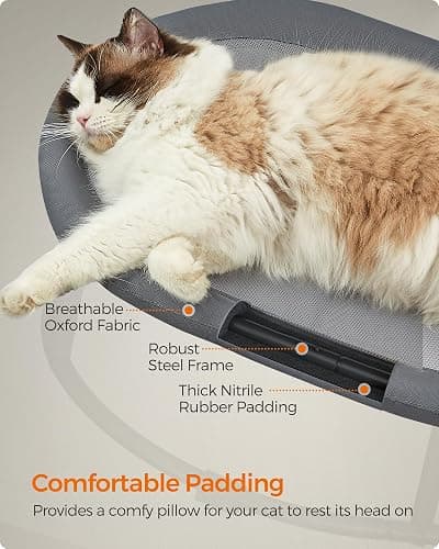 Feandrea Pet Bed, Cat Hammock, Elevated Cat Bed for Multiple Cats, with Removable Washable Mesh, for Pets up to 28 lb, Oval, Gray UPCB002G01 thumbnail 4