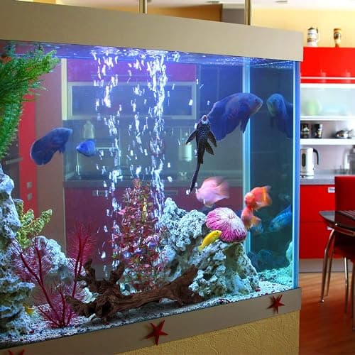 majoywoo Natural Coral Driftwood for Aquarium Decor Fish Tank Decorations, Assorted Driftwood Branch 6-10" 3 Pcs, Reptile Decor… thumbnail 4