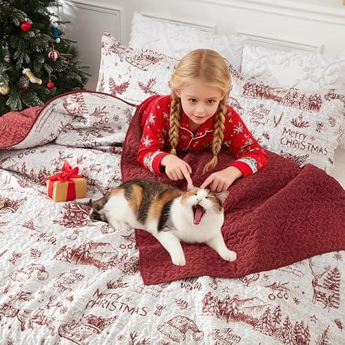 Christmas Quilt Set King Size, Christmas Holiday Decorations Bedspread Set, Soft and Breathable Xmas Quilt Bedding Set (King, 106"x96") thumbnail 3