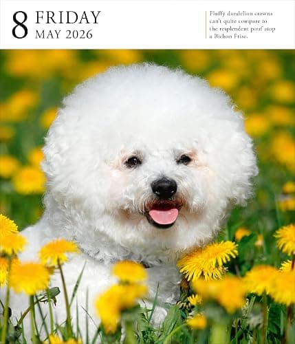 Dog Page-A-Day® Gallery Calendar 2026: An Elegant Canine Celebration thumbnail 6