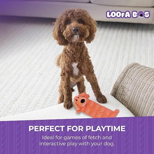 Multipet Original Loofa Dog Plush Toy Mat - Squeaky Toys for All Dogs - Extra Soft Plush - Stuffed Animal Dog Toys for Playing (1 Count, 12”, Random Color Surprise) thumbnail 5